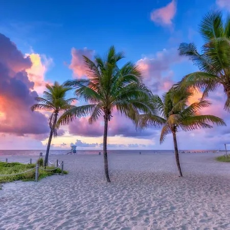 Surf & Sand Hotel